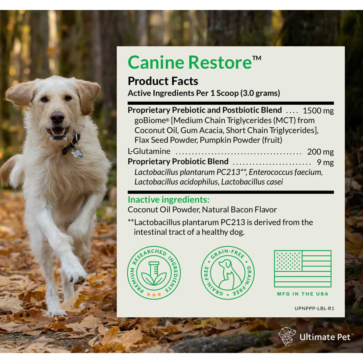 Digestive Support Powder for Dogs 3.17 oz G4366