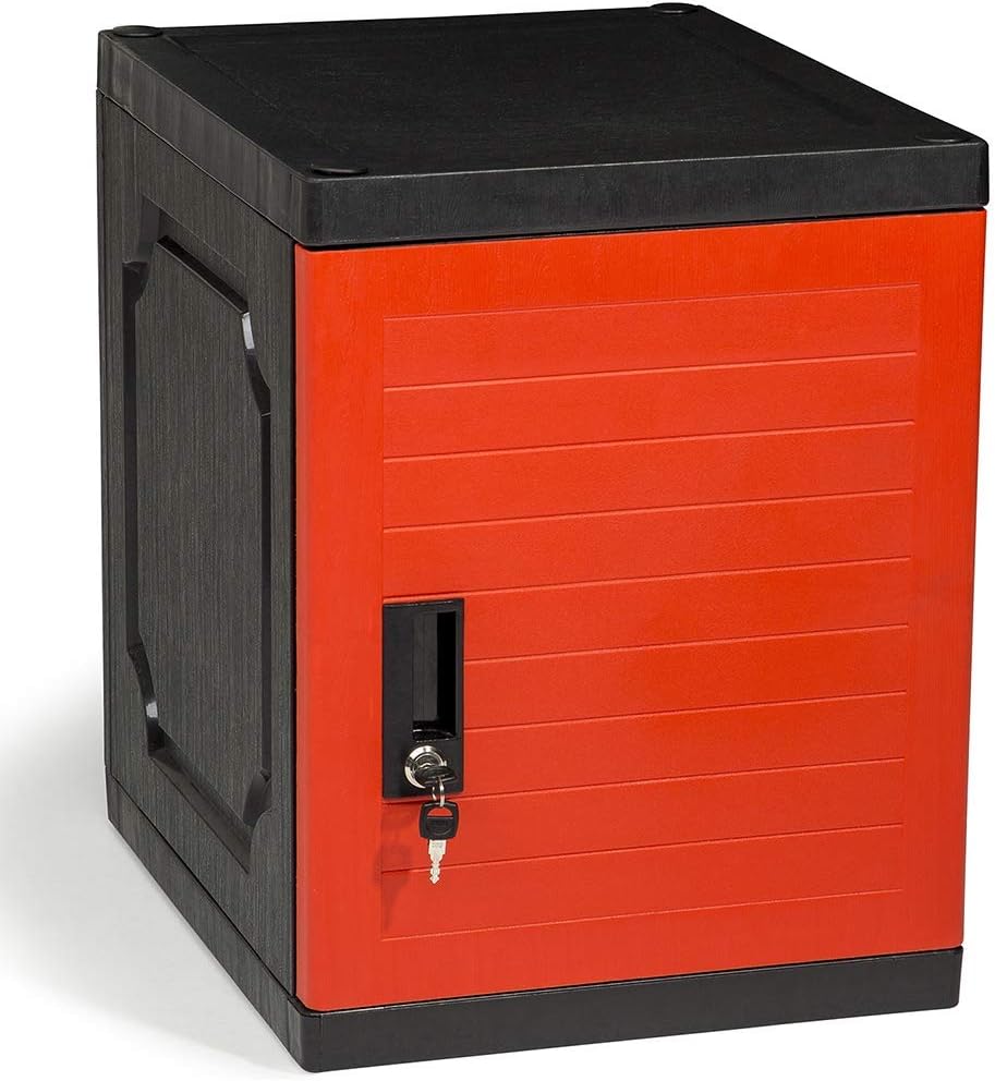 Lockable Storage Cabinet with Keys Y487