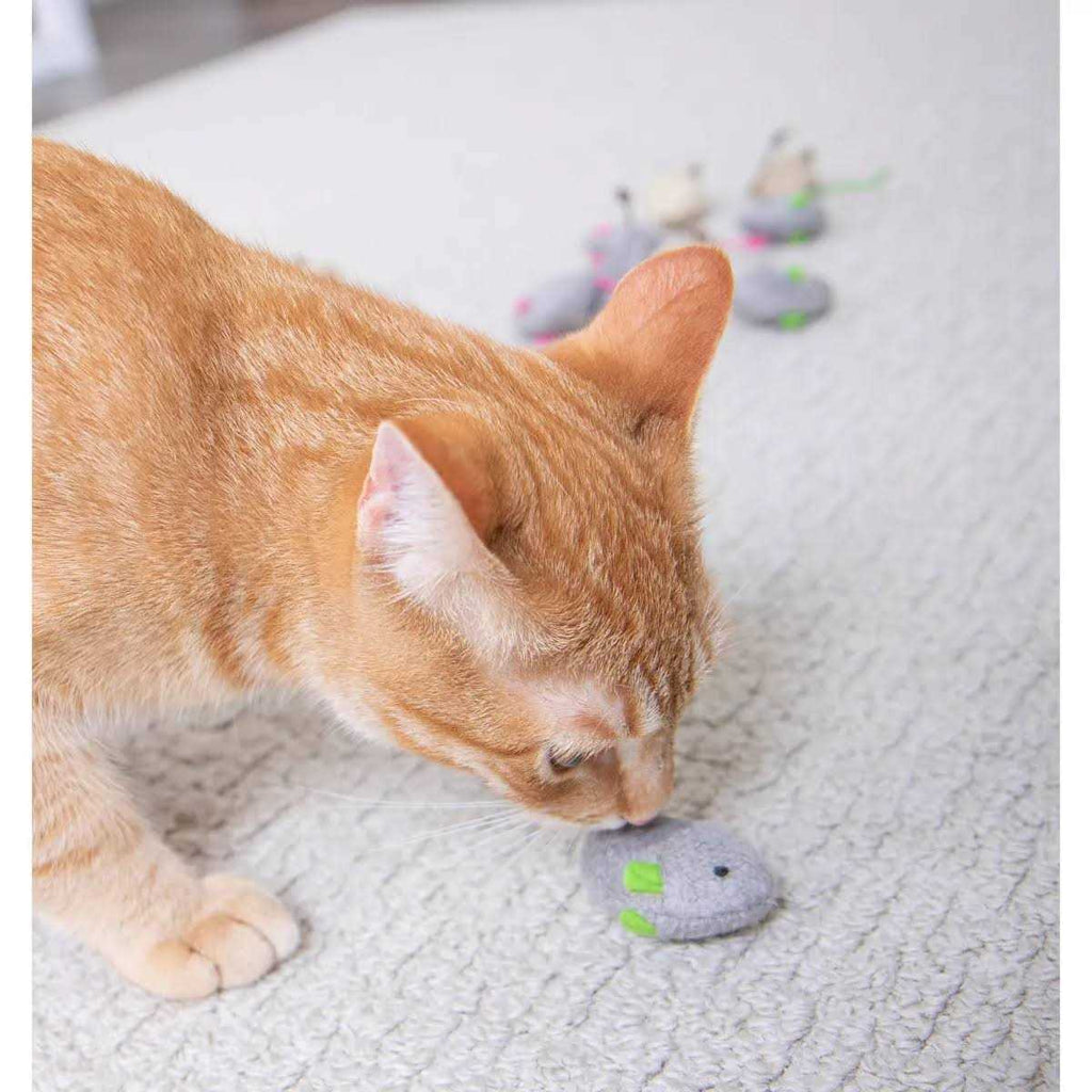 Catnip Toys N302680