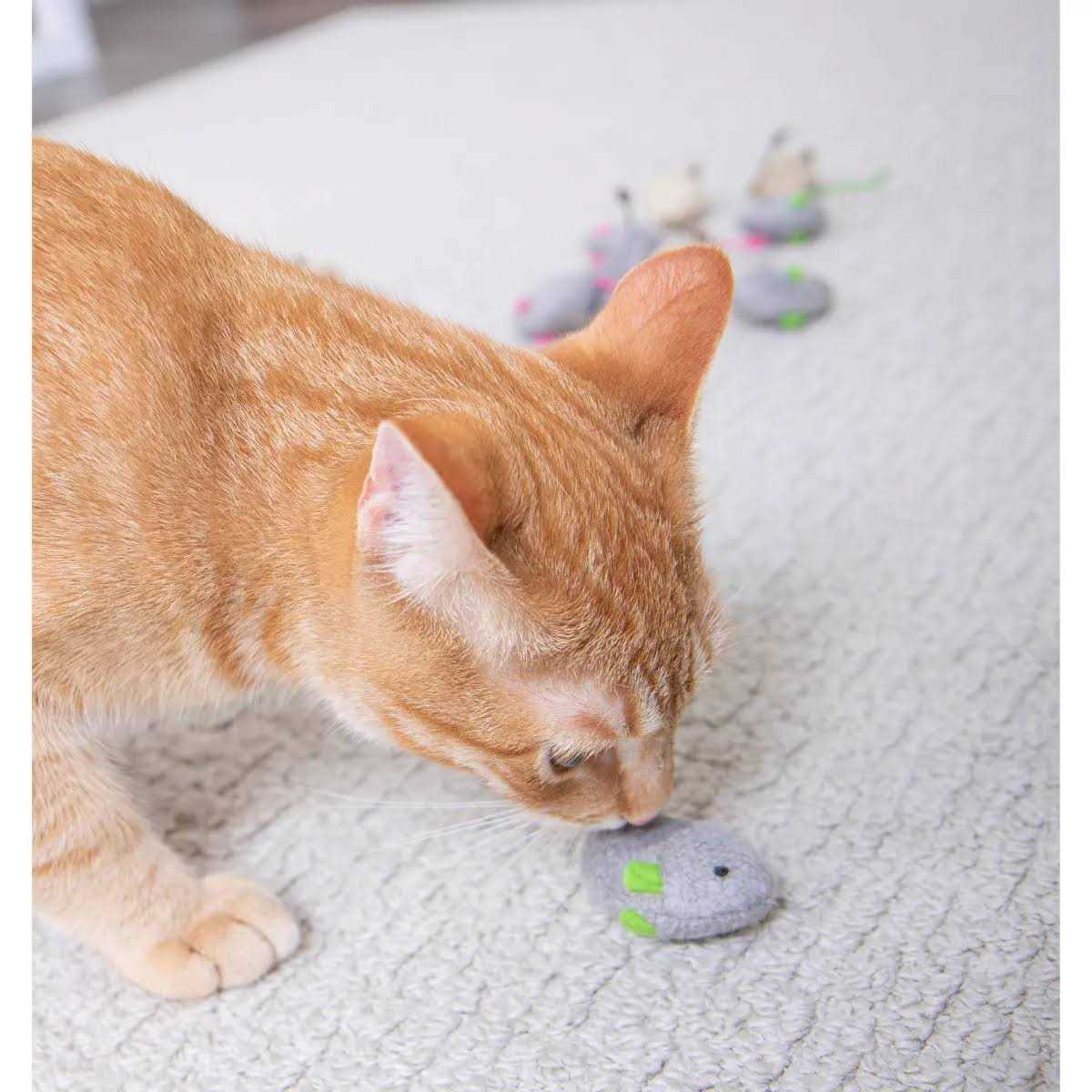 Catnip Toys N302680