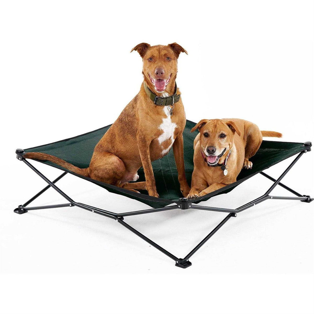 Elevated Pet Bed X78001