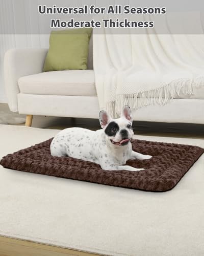 Gray 41 x 27 Inch Washable Dog Bed Mat Z873