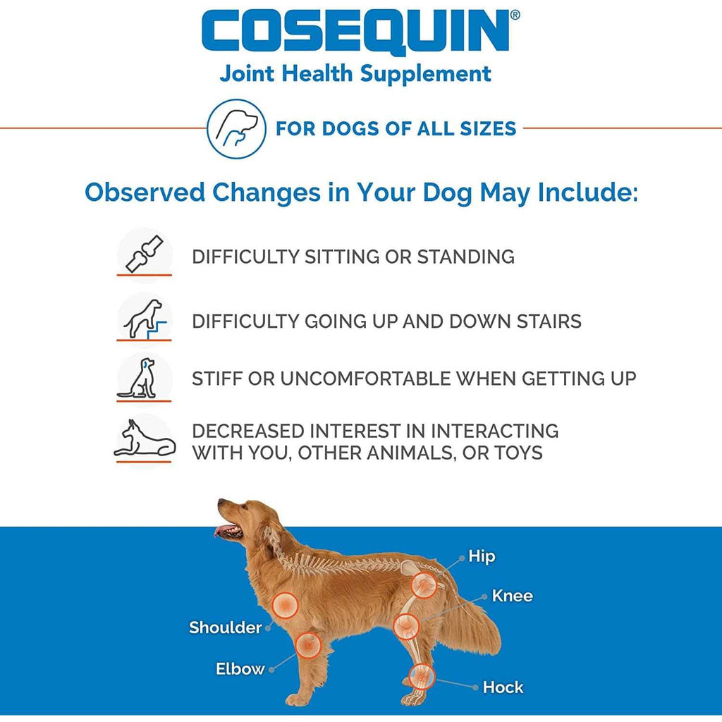 Chewable Tablets for Dogs G530