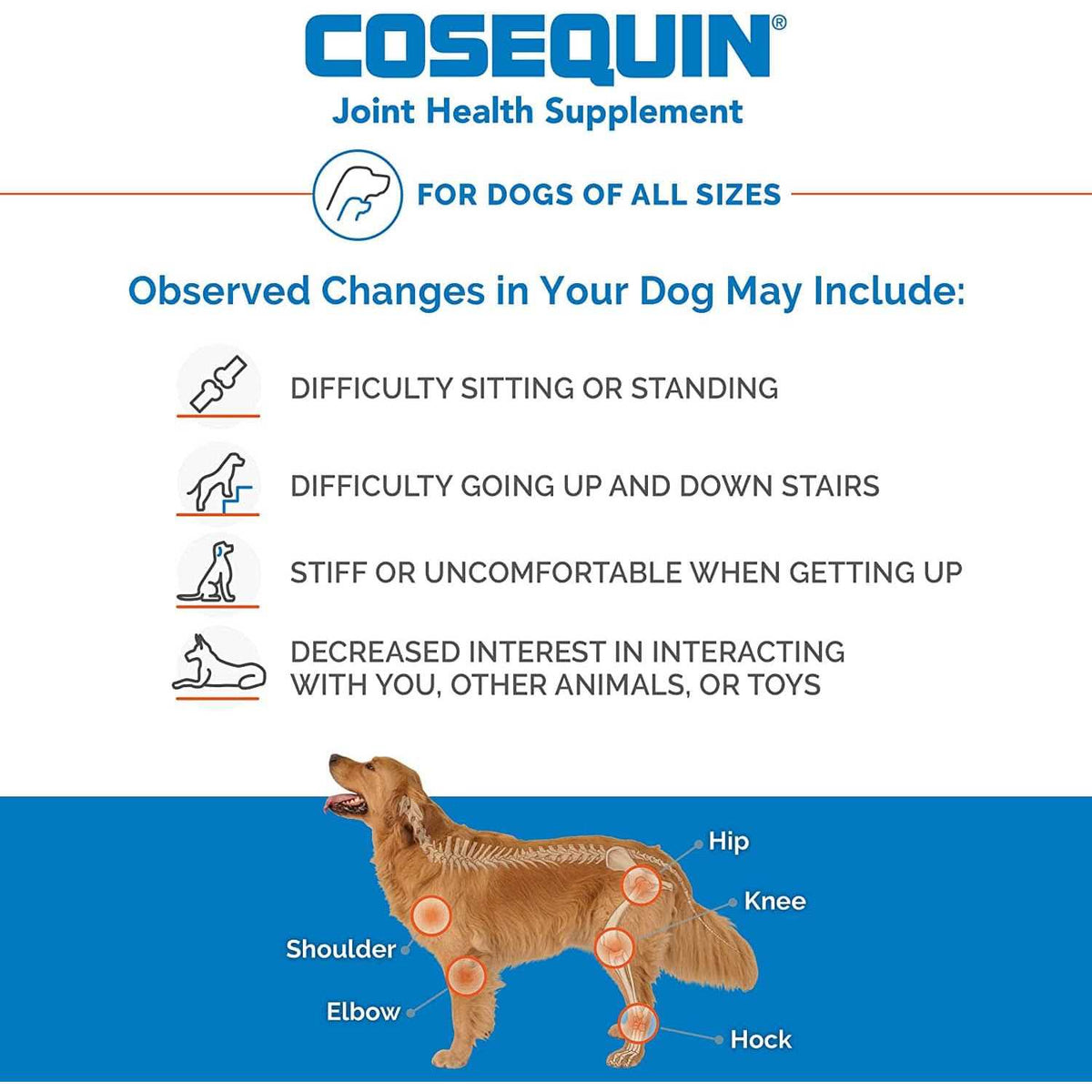 Chewable Tablets for Dogs G530