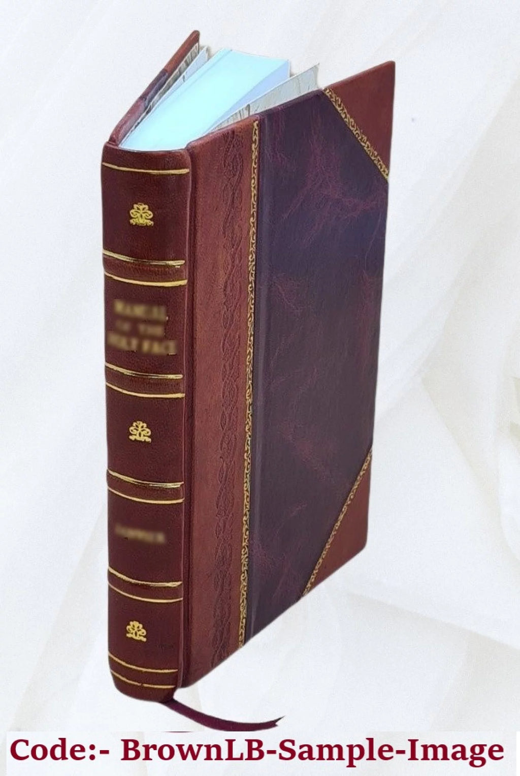 Leather Bound Story C9369