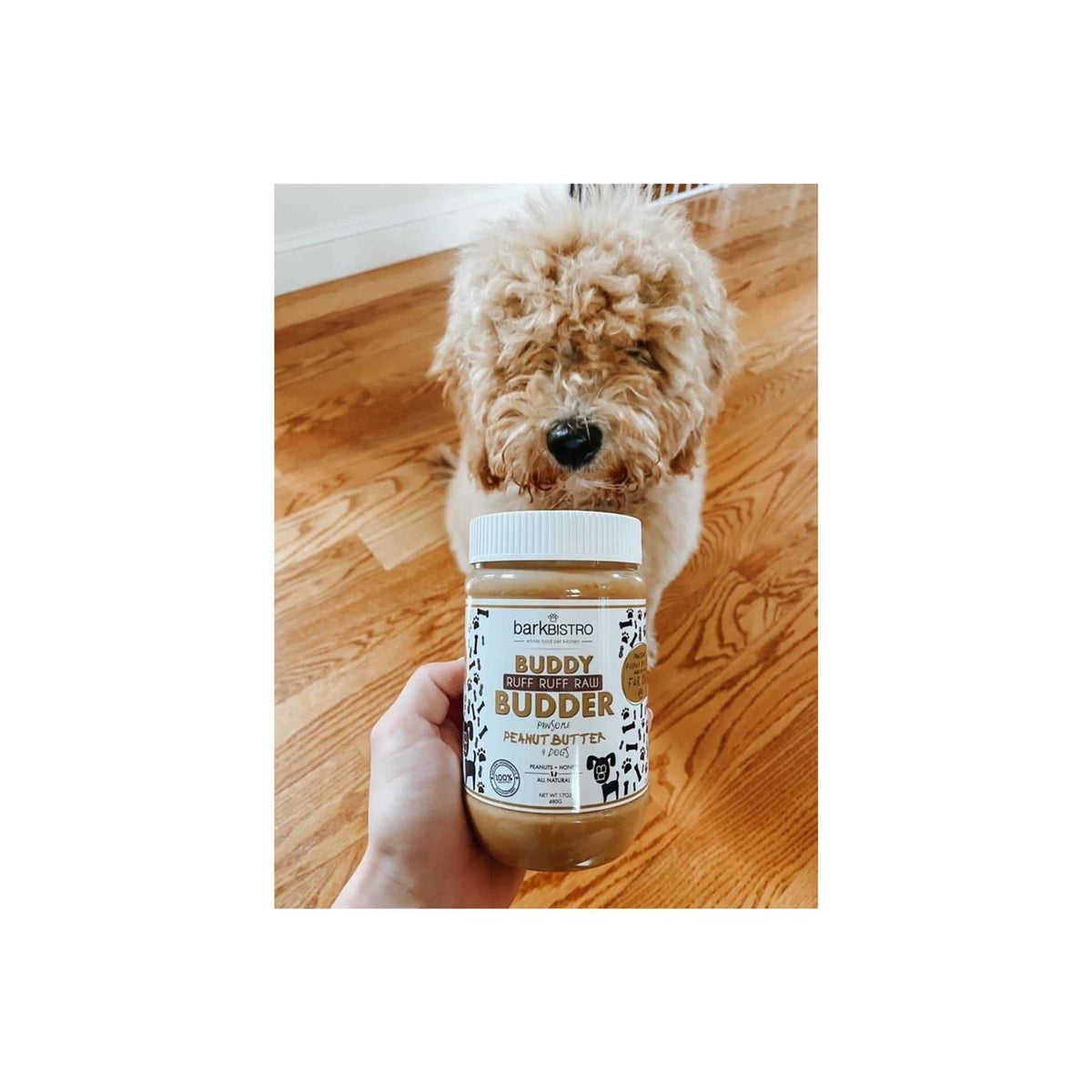 Peanut Butter Pet Supplies O470390