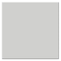 6.6 x 6.6 Low Light Dispersion Glass Filter N562