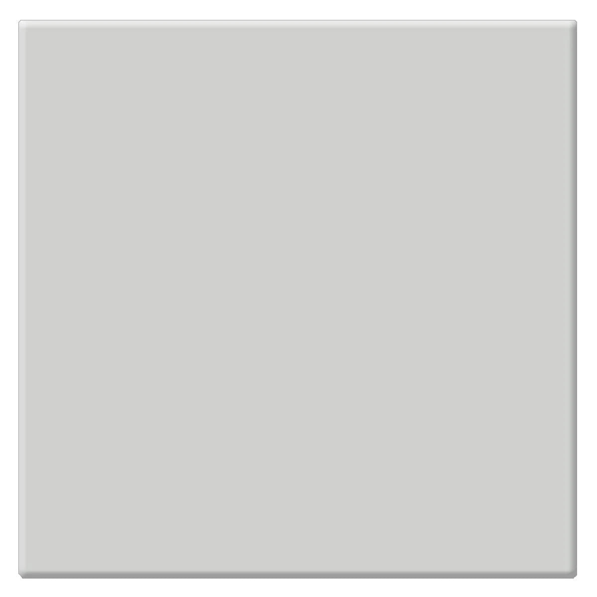 6.6 x 6.6 Low Light Dispersion Glass Filter N562