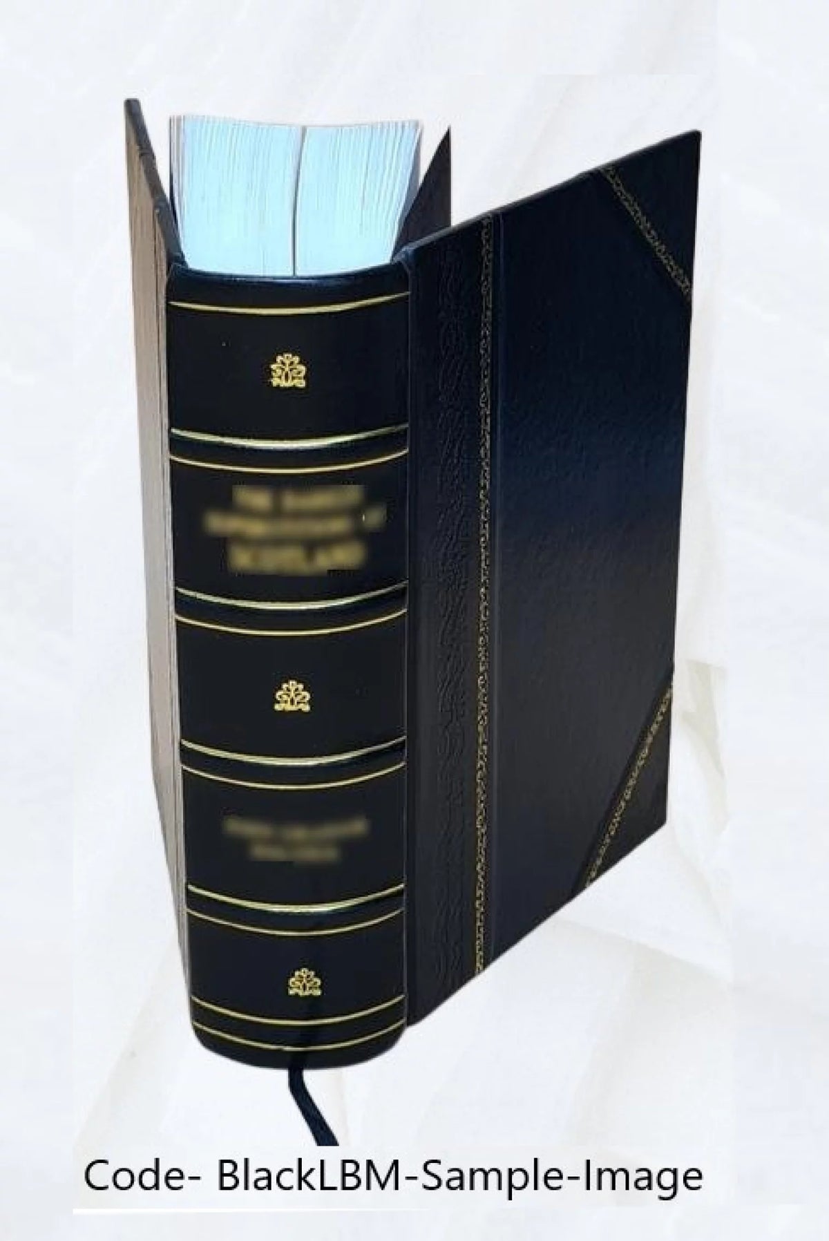 Leather Bound T50292