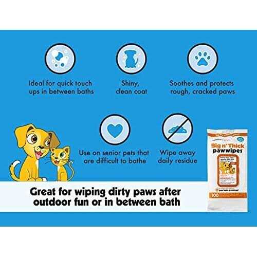 Pet Wipes Q531