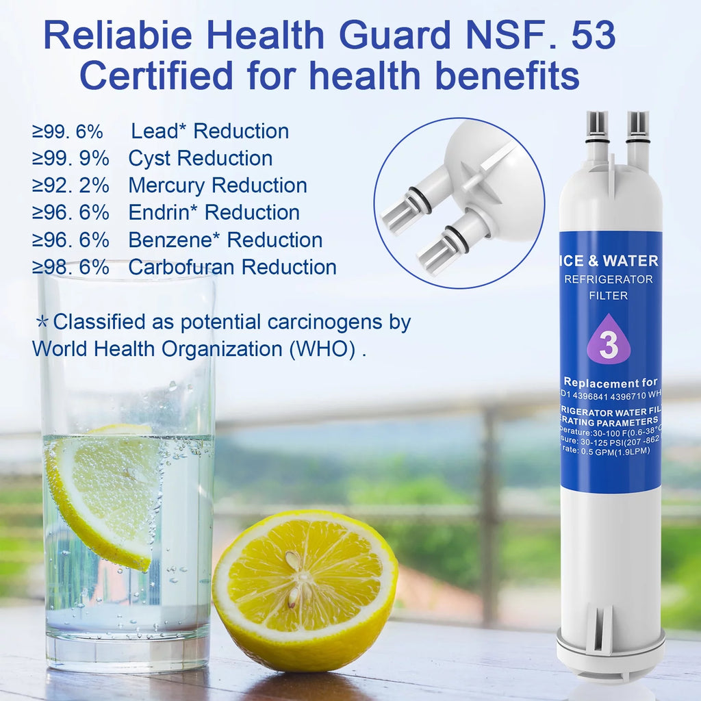 Water Filter 2-Pack P10454