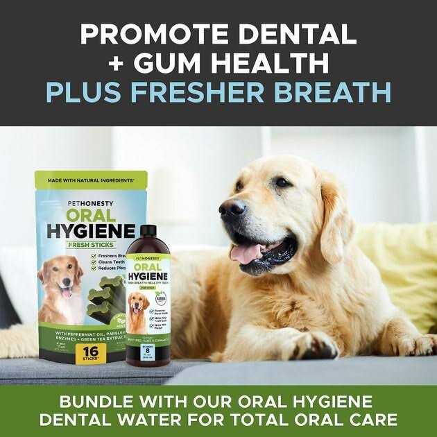 Dental Health Fresh Sticks Dental Treats for Dogs E998