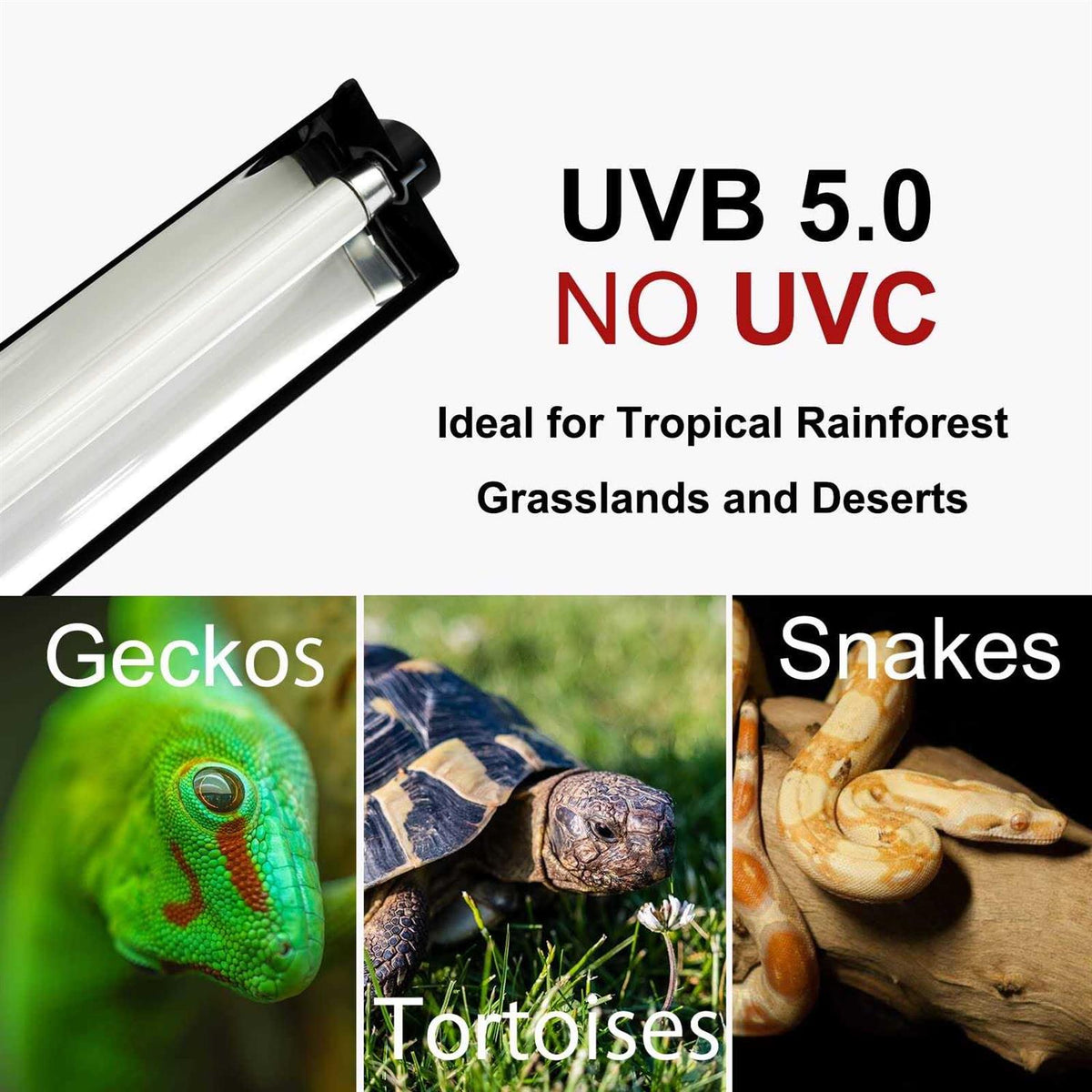 T5 HO UVB Lighting Combo Kit with UVB 10.0 Fluorescent Tube B55758