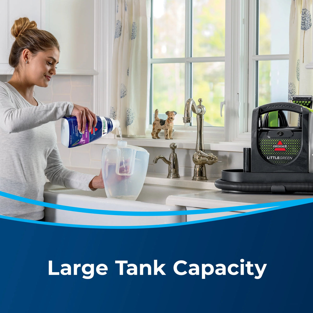 Portable Carpet Cleaner T2646