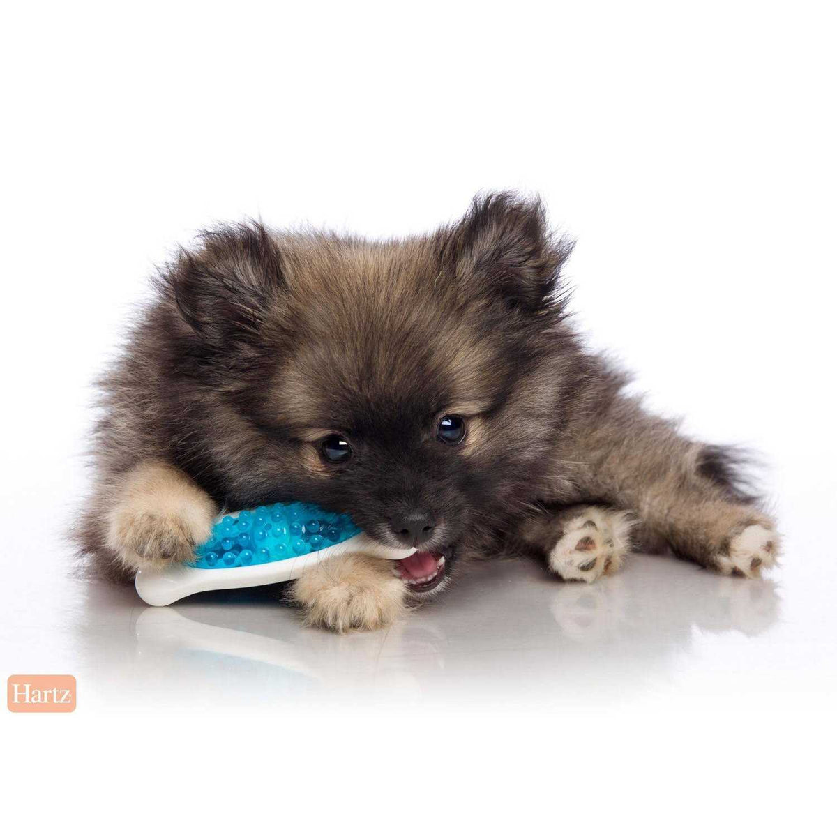 Dog Chew Toy S3690