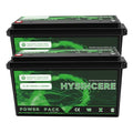 2Pack 12V 100Ah LiFePO4 Lithium Battery with 100A BMS P8505