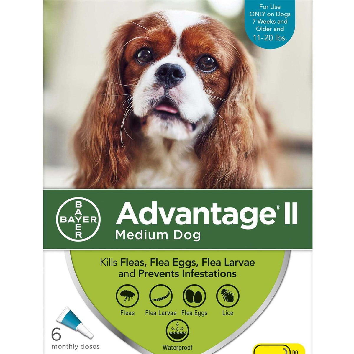 Advantage II for Dogs W285471