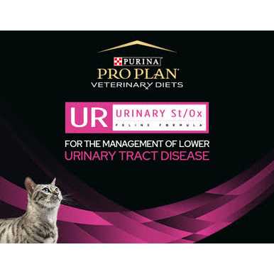 UR Urinary St/Ox Feline Formula Wet Cat Food C284