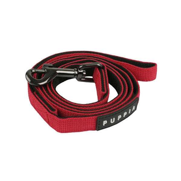 Two Tone Lead E466474