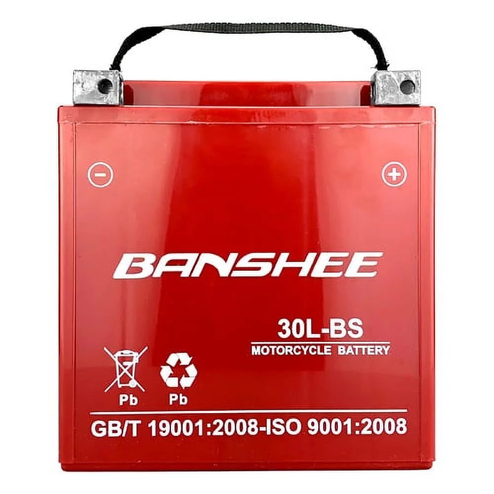 12V 30Ah Battery V276