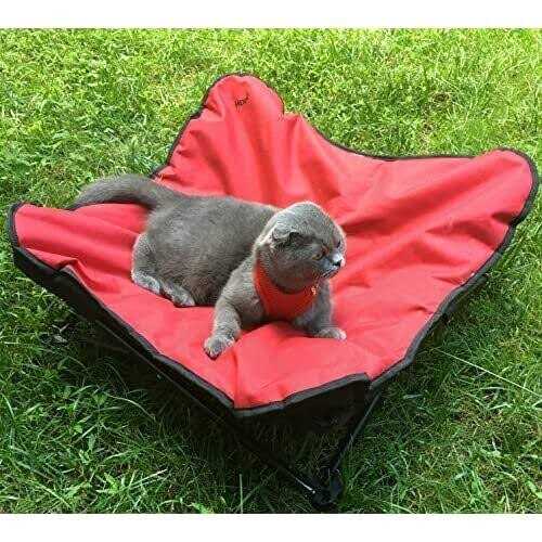 Elevated Padded Pet Bed U838903