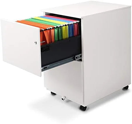 2 Drawer Metal File Cabinet with Lock F640867