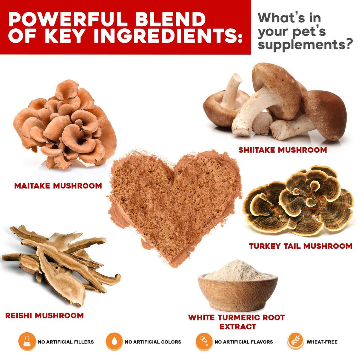 Turkey Tail Mushroom for Dogs with Reishi, Shiitake, Maitake Mushroom F204127