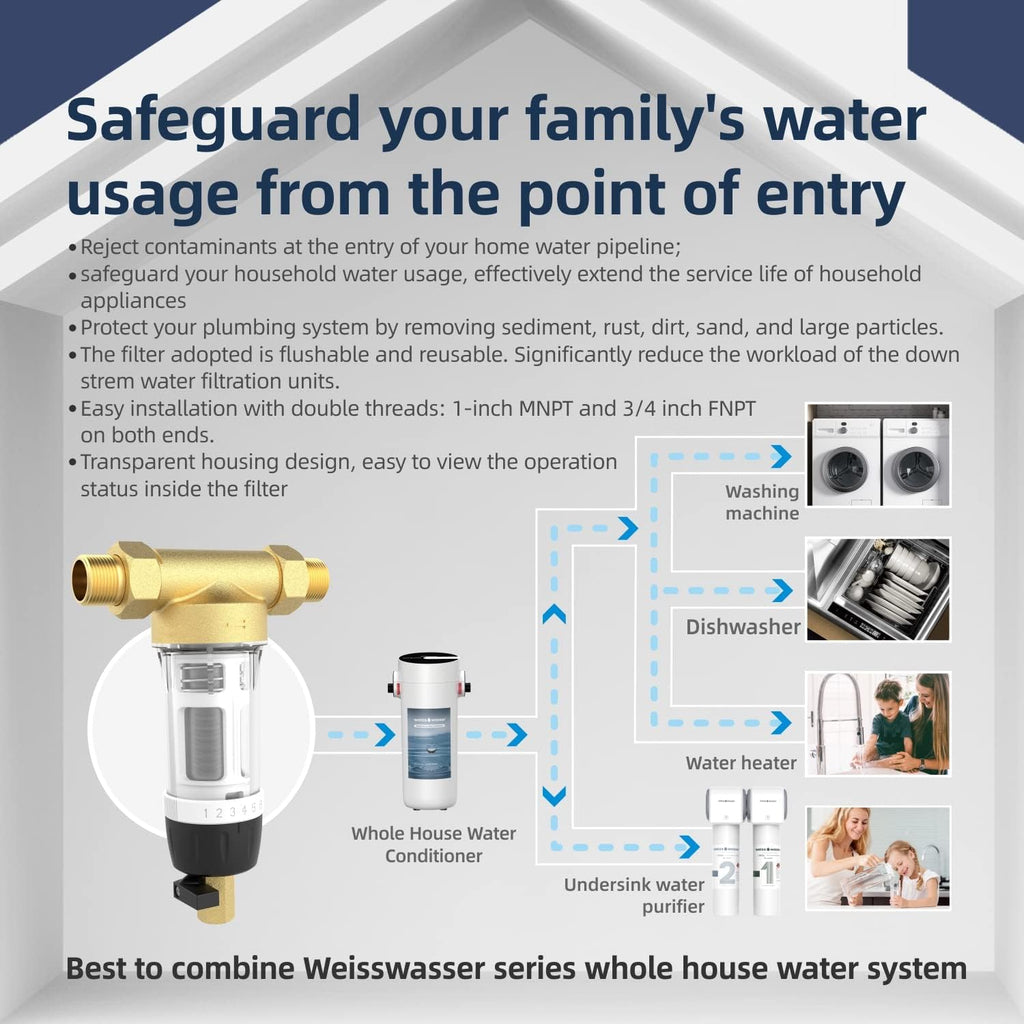 40-Micron Reusable Whole House Sediment Water Filter, Lead-Free Brass, Pack of 2 Q85209