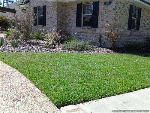 20 lbs. Centipede Grass Seed D241735