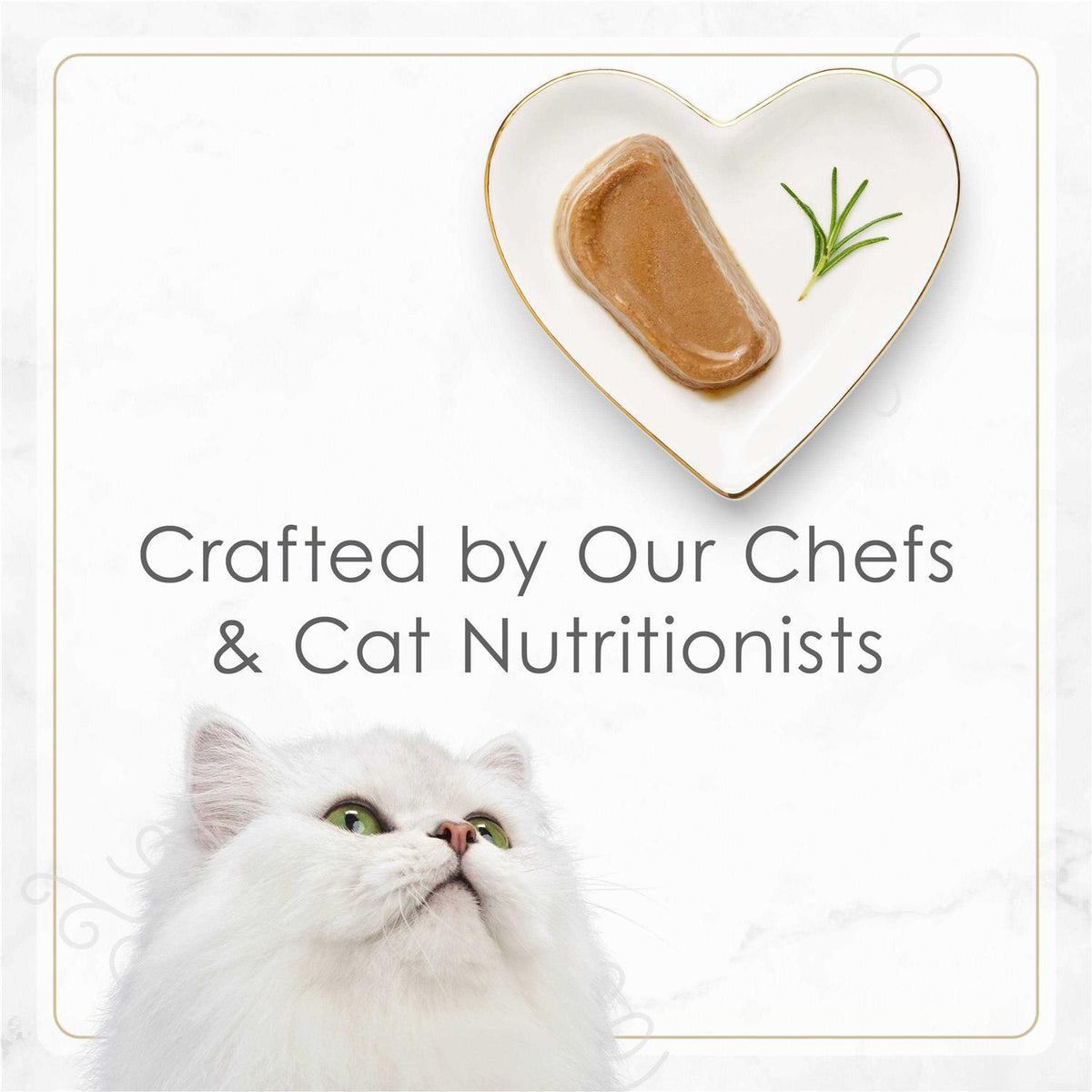 Wet Cat Food S518
