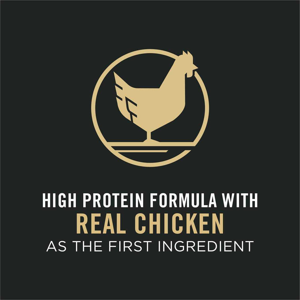 Chicken and Rice Formula Senior Dry Cat Food T152877