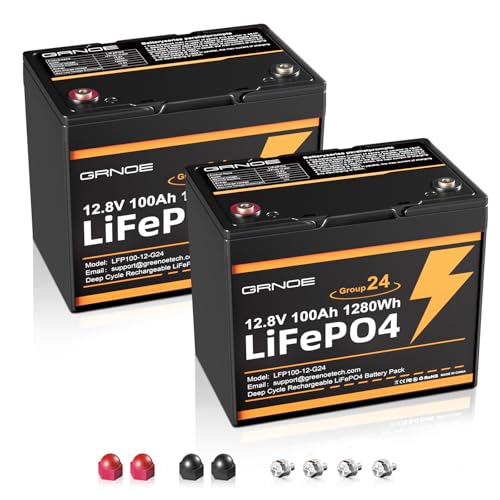 2-Pack 12V 100Ah LiFePO4 Automotive Batteries, 100A BMS Each, Group 24 D5265