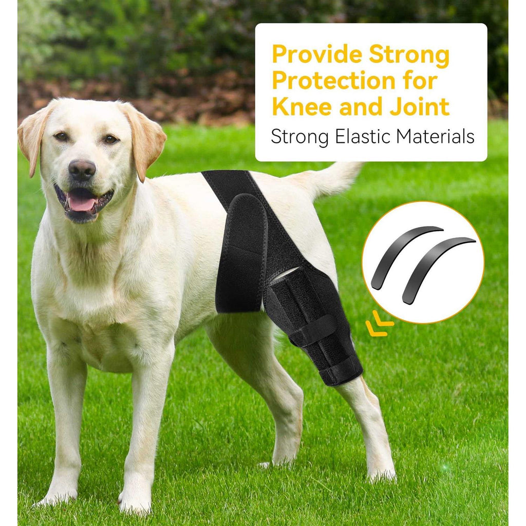 Dog Knee Brace P75425