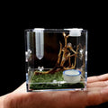 Acrylic Reptile Breeding Box with Dropper Tongs G572952