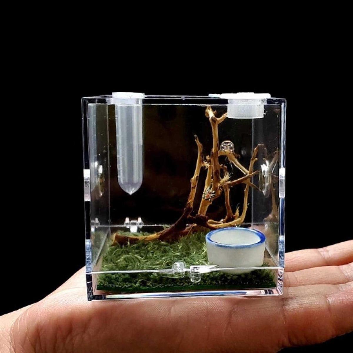 Acrylic Reptile Breeding Box with Dropper Tongs G572952