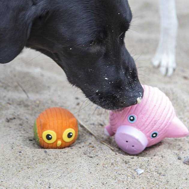 Ruff-Tex Dog Toy Q9258