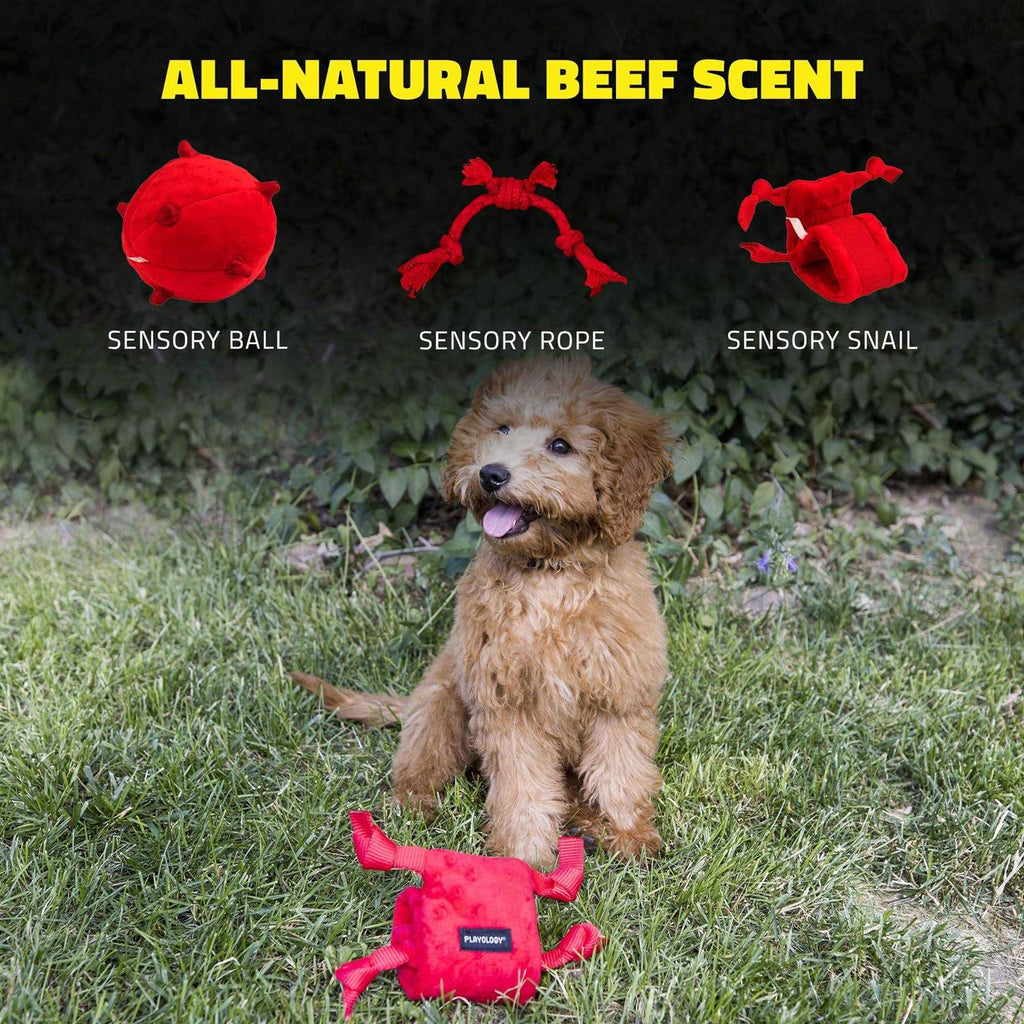 Snail Dog Toy A5945