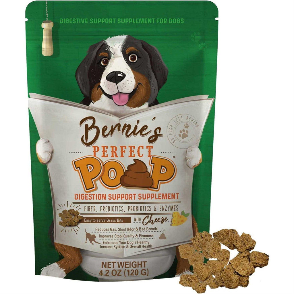 Pet Supplement Q62576