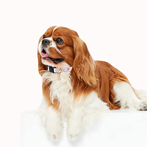 White Peach Dog Collar with Pendant (Small) G223036