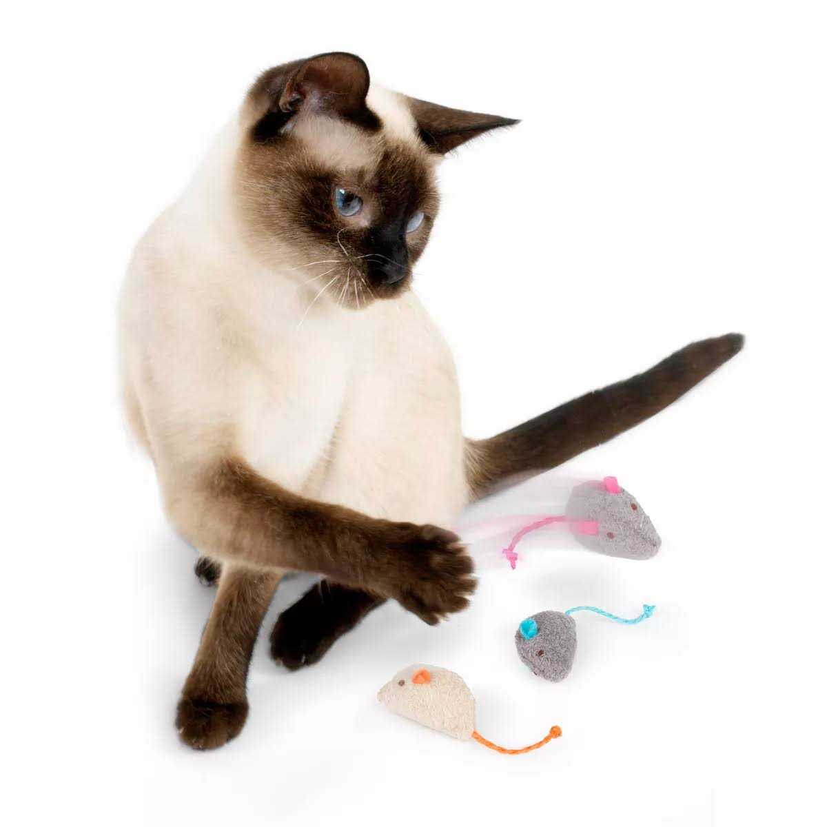 Catnip Toys N302680