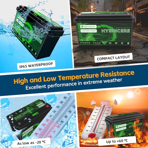 2Pack 12V 100Ah LiFePO4 Lithium Battery with 100A BMS P8505