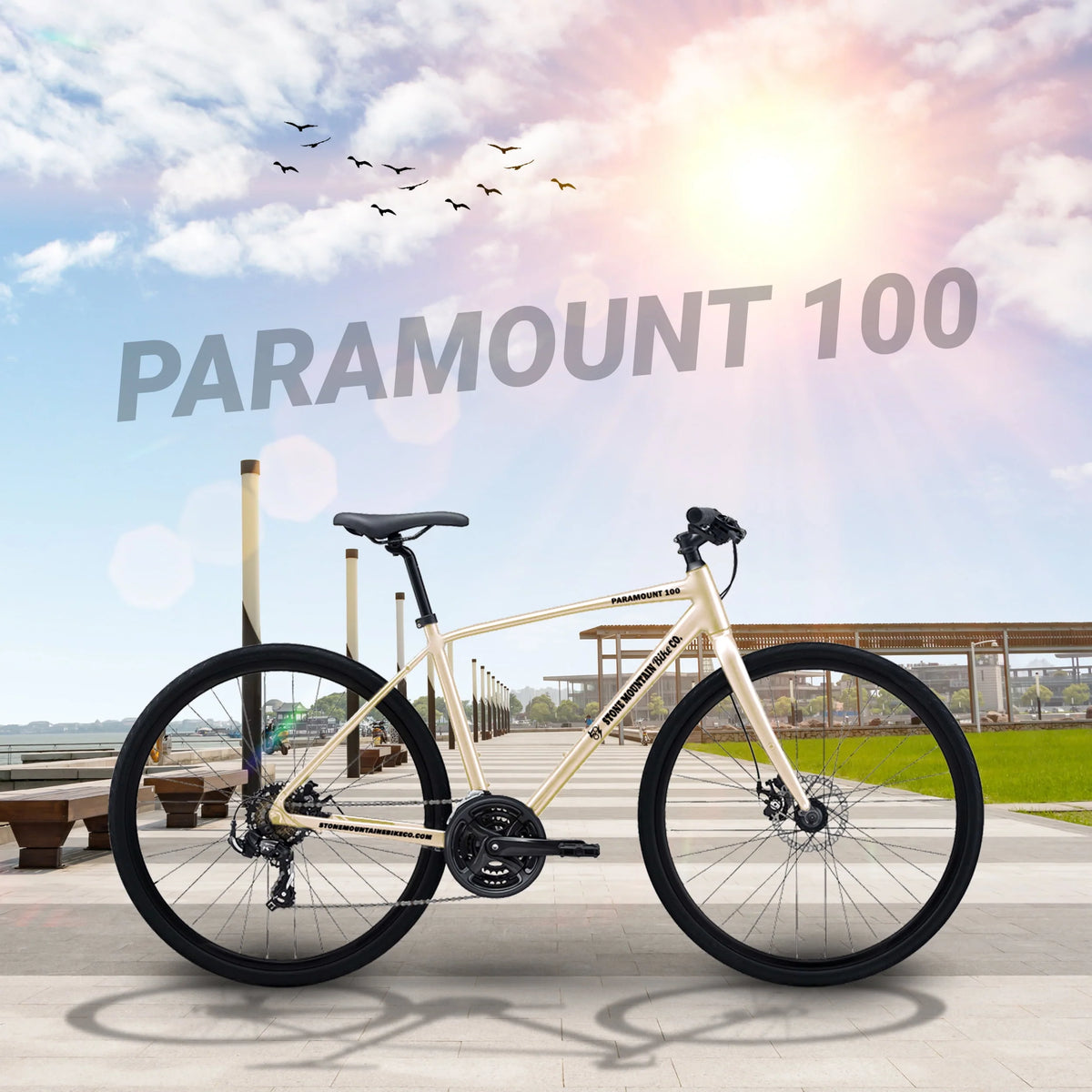 Lightweight Aluminum 21-Speed Hybrid Bicycle with Mechanical Disc Brakes V850256