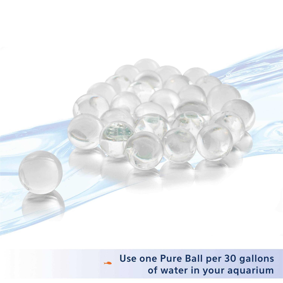 Bacteria Supplement K657