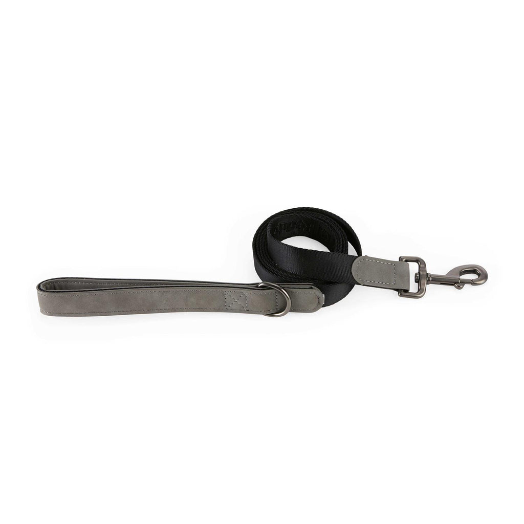 6' Dog Lead L659