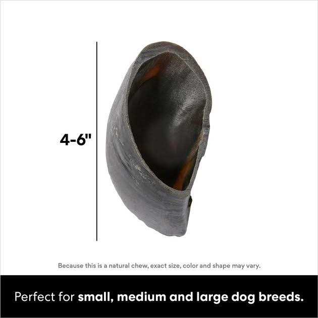 Cow Hooves N585