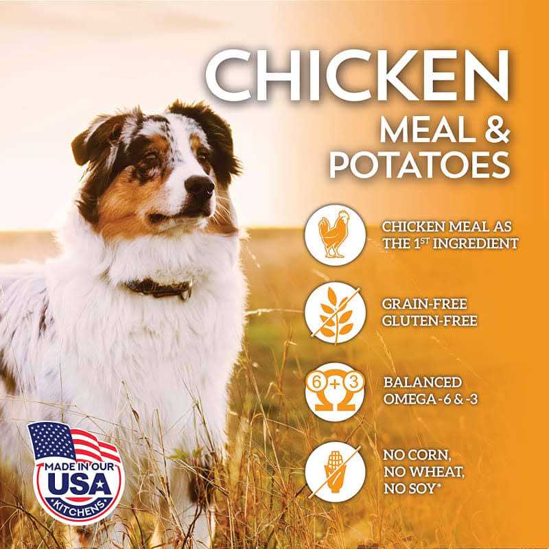 Chicken Meal & Chickpeas Grain Free Dry Dog Food R256
