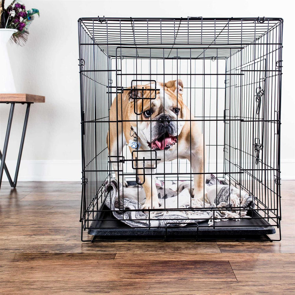 Double-Door Folding Wire Dog Crate J817441