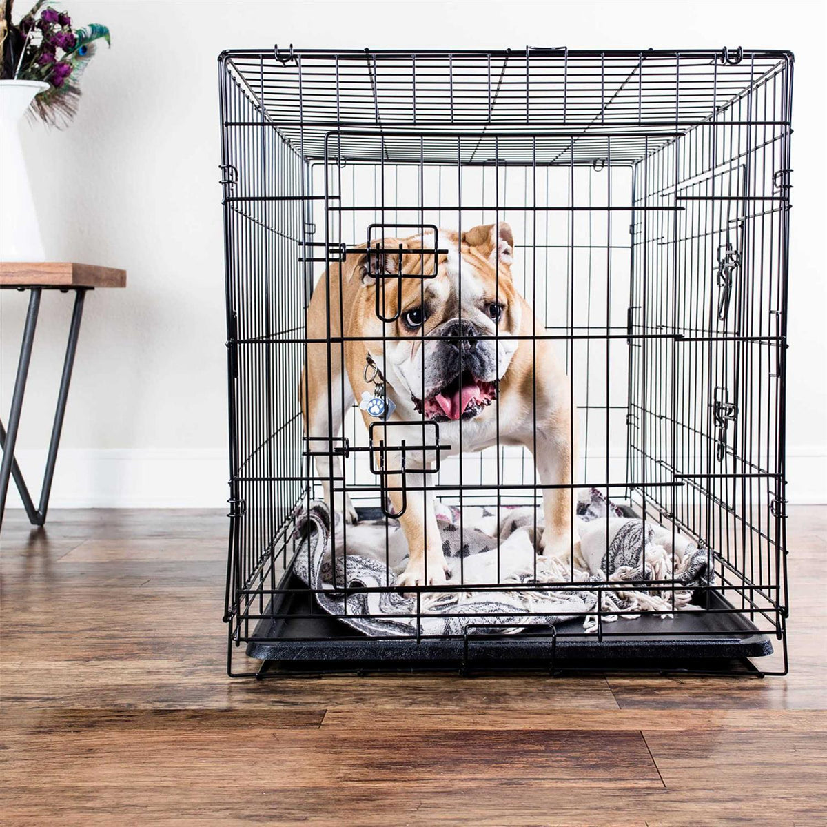 Double-Door Folding Wire Dog Crate J817441