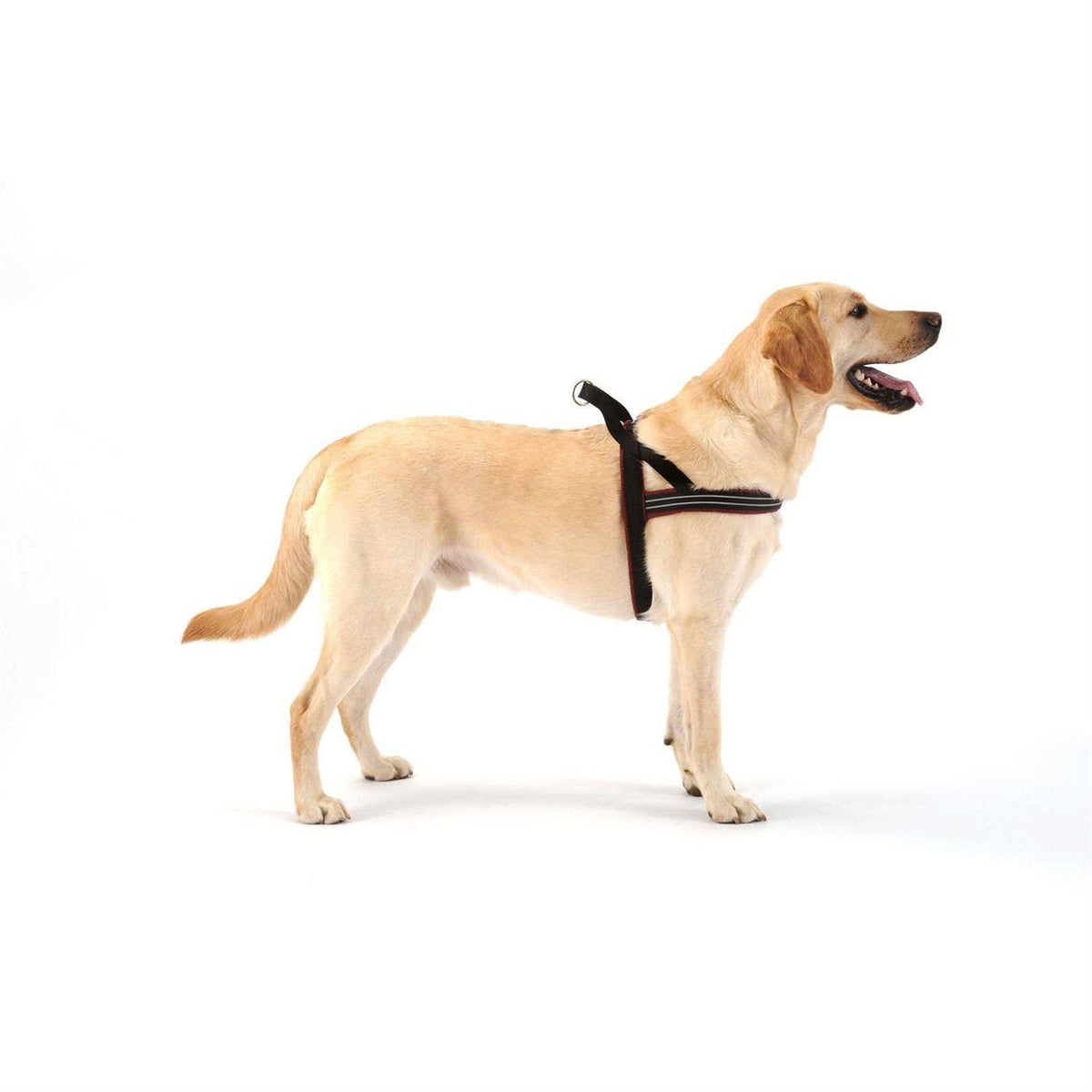 Sport Harness S99693