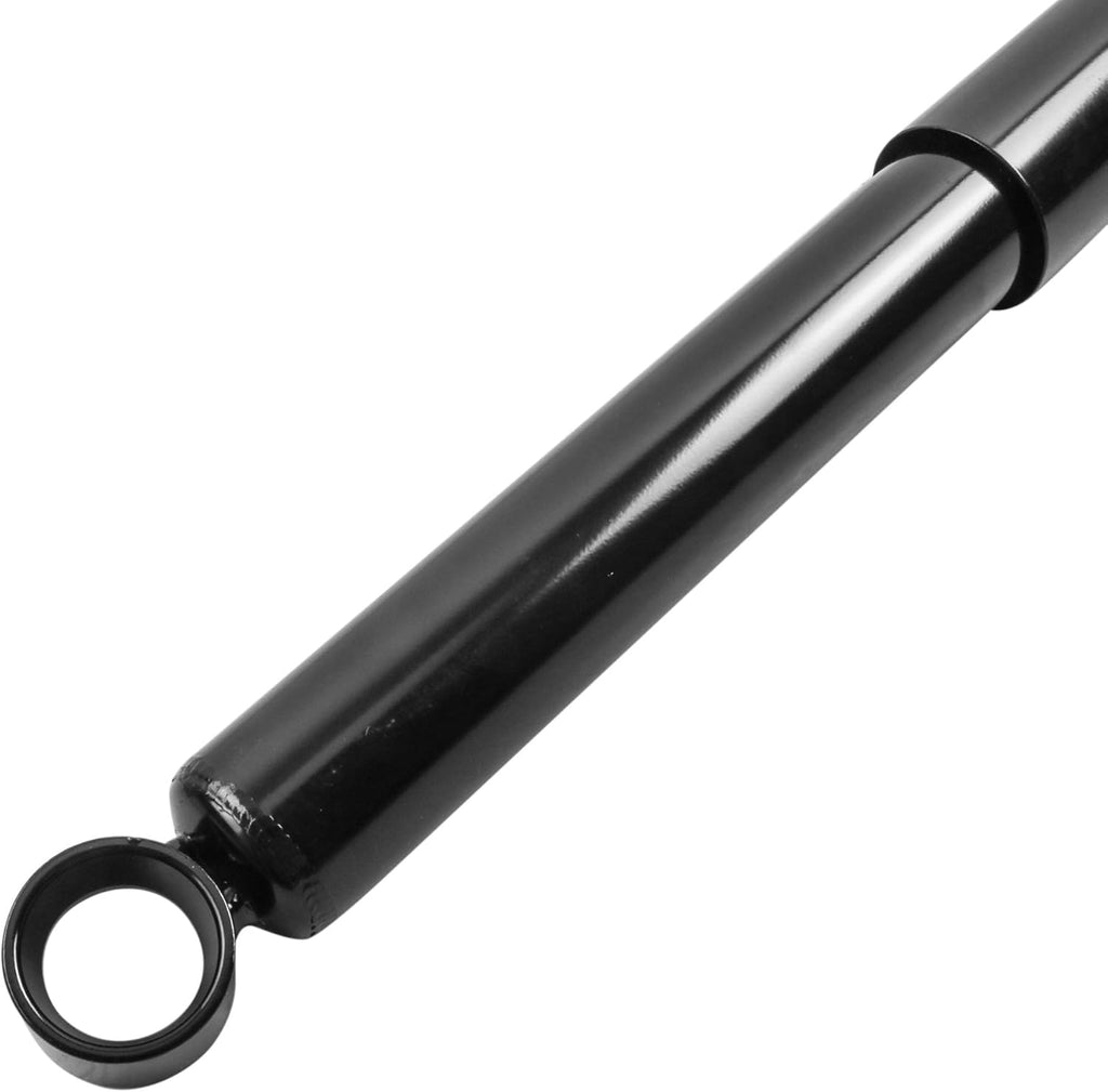 Rear Complete Struts Shocks Absorbers Pack of 2 B323850